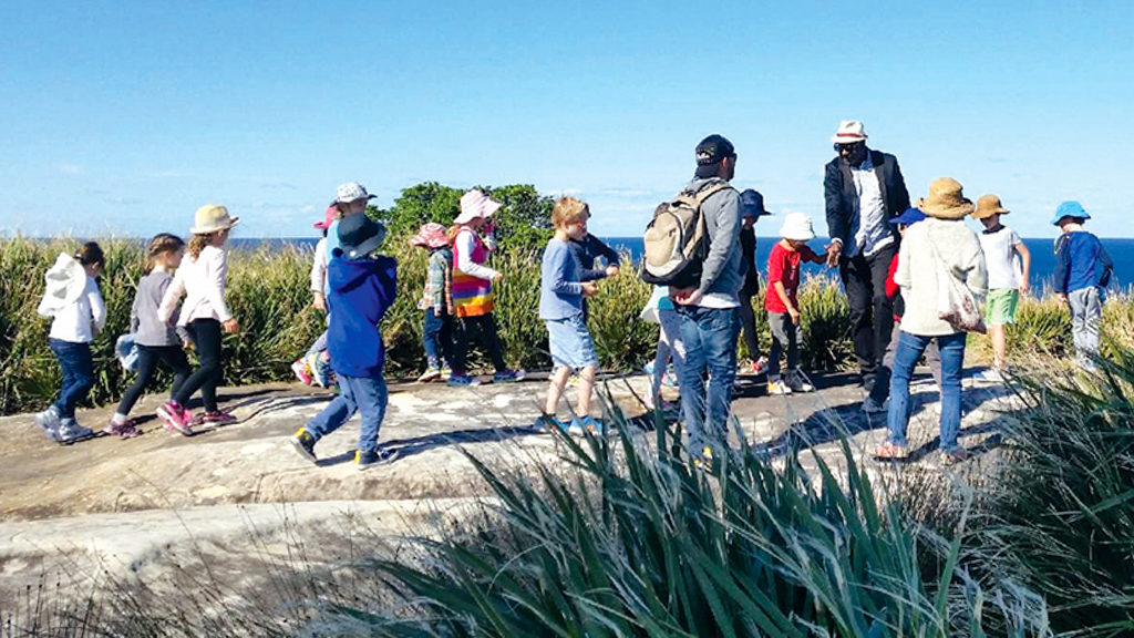 ancient rock carvings bondi aboriginal walking tour by walangari karntawarra